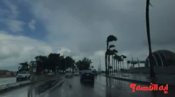 تنبؤات دقيقة.. حالة الطقس غدا الأربعاء 10 ديسمبر 2025 وانخفاض ملموس بالحرارة